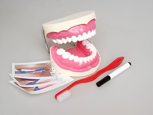 Игровой комплект "Чистим зубы" - fgospostavki.ru - Владивосток