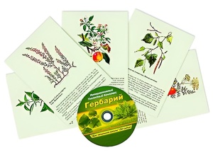 Интерактивный наглядный комплекс "Гербарий "Для начальной школы" - fgospostavki.ru - Владивосток