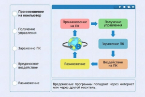 Интерактивные курсы. Информатика 10 класс . Базовый. - fgospostavki.ru - Владивосток