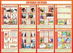 Стенд "Личная гигиена" - fgospostavki.ru - Владивосток