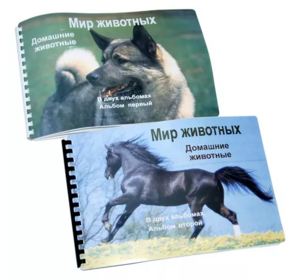 Пособие для слабовидящих - Домашние животные - fgospostavki.ru - Владивосток
