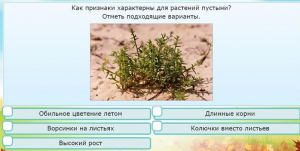 Интерактивные курсы. Окружающий мир 3 класс . Базовый. - fgospostavki.ru - Владивосток