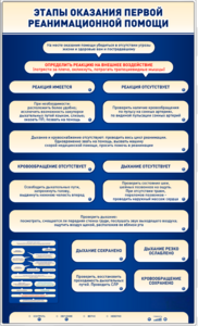 Электрифицированный стенд-тренажер "Этапы оказания первой реанимационной помощи" - fgospostavki.ru - Владивосток