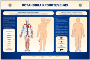 Электрифицированный стенд-тренажер "Остановка кровотечения" - fgospostavki.ru - Владивосток