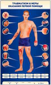 Электрифицированный стенд-тренажер "Травматизм и меры оказания первой помощи" - fgospostavki.ru - Владивосток