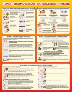 Стенд "Первая доврачебная неотложная помощь" - fgospostavki.ru - Владивосток