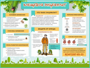 Стенд "Клещевой энцефалит" - fgospostavki.ru - Владивосток