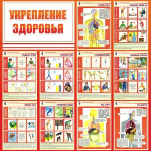 Стенд "Укрепление здоровья" - fgospostavki.ru - Владивосток