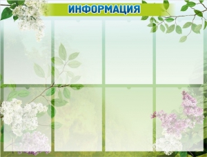 Стенд "Информация" Вариант 13 - fgospostavki.ru - Владивосток