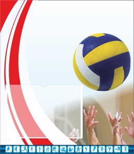 Стенд "Спортивный (волейбол)" - fgospostavki.ru - Владивосток