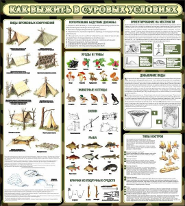 Стенд информационный "Как выжить в суровых условиях" - fgospostavki.ru - Владивосток