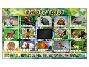 Комплект оборудования "Живой уголок" (животные) - fgospostavki.ru - Владивосток