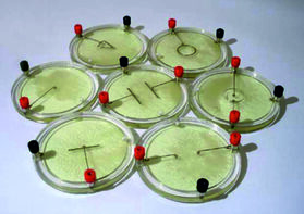 Демонстрационный комплект «Силовые линии электрического поля разных систем зарядов» - fgospostavki.ru - Владивосток