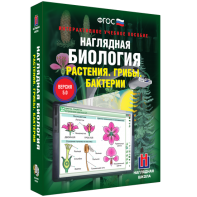 Наглядная биология. 6 класс. Растения. Грибы. Бактерии - fgospostavki.ru - Владивосток