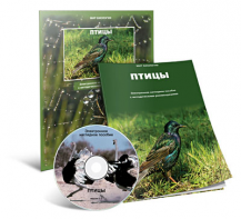Электронное наглядное пособие «Птицы» - fgospostavki.ru - Владивосток