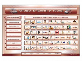 Трехсекционный базовый комплект "Травмы. Кровотечения. Ожоги" для учащихся общеобразовательных учреждений - fgospostavki.ru - Владивосток