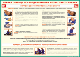 Таблица "Порядок действий при внезапной смерти" (100х140 сантиметров, винил) - fgospostavki.ru - Владивосток