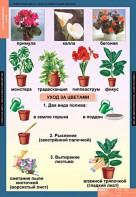 Комплект таблиц. Окружающий мир 1 класс. - fgospostavki.ru - Владивосток