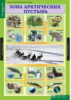 Комплект таблиц. Окружающий мир 4 класс. - fgospostavki.ru - Владивосток