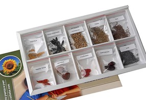 Коллекция "Плоды сельскохозяйственных растений" - fgospostavki.ru - Владивосток