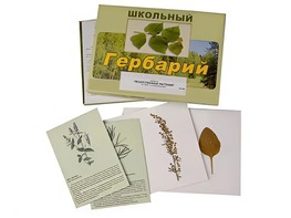 Гербарий "Лекарственные растения" (22 вида с иллюстрациями) - fgospostavki.ru - Владивосток