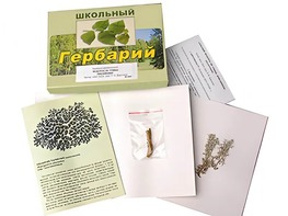 Гербарий "Водоросли. Грибы. Лишайники" (раздаточный) - fgospostavki.ru - Владивосток
