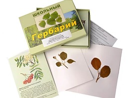 Гербарий "Систематика растений. Семейство Розоцветные" (раздаточный) - fgospostavki.ru - Владивосток