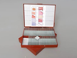 Комплект микропрепаратов "Анатомия" - fgospostavki.ru - Владивосток