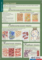 Комплект таблиц. Биология 8-9 класс. Человек. - fgospostavki.ru - Владивосток
