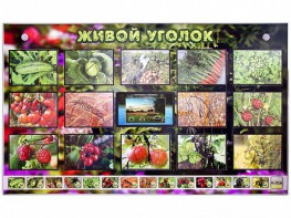 Комплект оборудования "Живой уголок" (растения) с тифлопереводом и сурдокомментариями - fgospostavki.ru - Владивосток