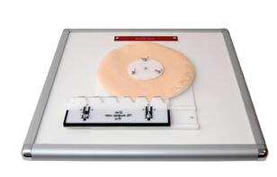 Комплекс "Изучение зубьев" - fgospostavki.ru - Владивосток