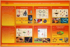 Электрифицированный стенд «Эпизоотология сельскохозяйственных животных» - fgospostavki.ru - Владивосток