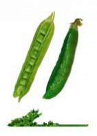 Комплект карточек "Запоминай, играй, считай" - Овощи - fgospostavki.ru - Владивосток