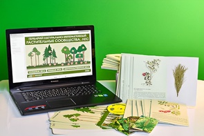 Гербарий натурально-интерактивный "Растительные сообщества. Лес" - fgospostavki.ru - Владивосток