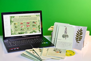 Гербарий натурально-интерактивный "Культурные растения" - fgospostavki.ru - Владивосток