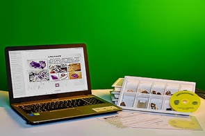 Коллекция натурально-интерактивная "Кварц в природе" - fgospostavki.ru - Владивосток