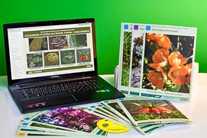 Гербарий натурально-интерактивный "Основные группы растений. Грибы. Лишайники" - fgospostavki.ru - Владивосток