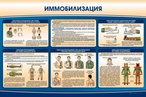 Стенд "Иммобилизация" - fgospostavki.ru - Владивосток
