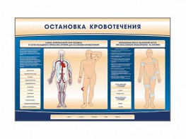 Электрифицированный стенд-тренажер "Остановка кровотечения" - fgospostavki.ru - Владивосток