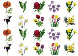 Комплект карточек "Запоминай, играй, считай" - Цветы - fgospostavki.ru - Владивосток