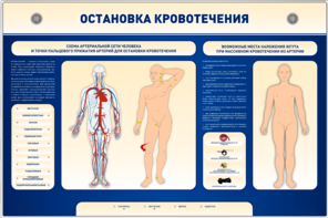 Электрифицированный стенд-тренажер "Остановка кровотечения" - fgospostavki.ru - Владивосток