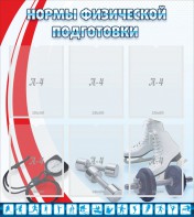 Стенд "Нормы физической подготовки" Вариант 2 - fgospostavki.ru - Владивосток