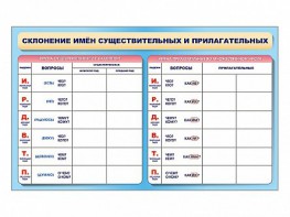 Фрагмент (демонстрационный) маркерный (двухсторонний) "Склонение имен существительных и прилагательных" - fgospostavki.ru - Владивосток